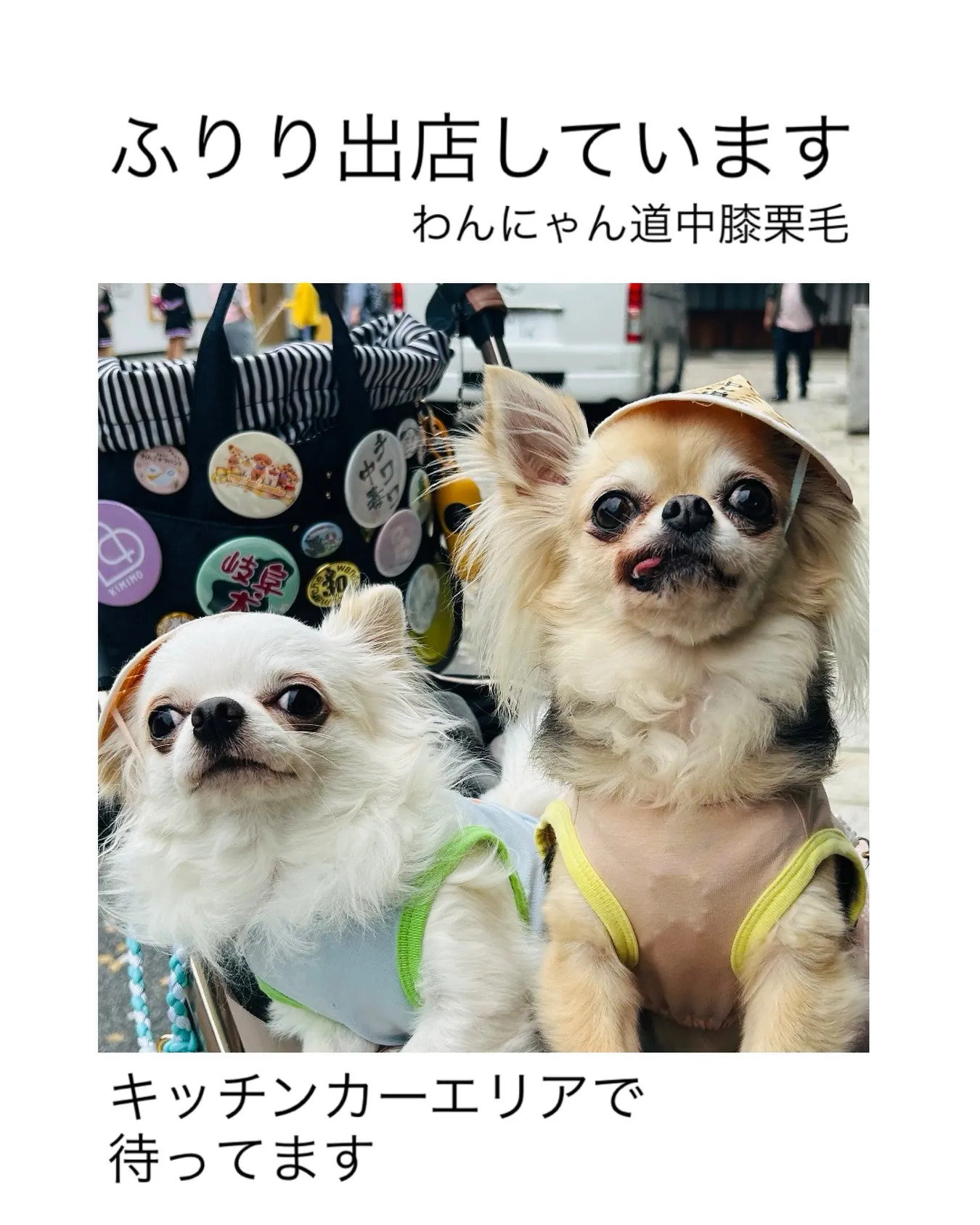 わんにゃん道中膝栗毛。